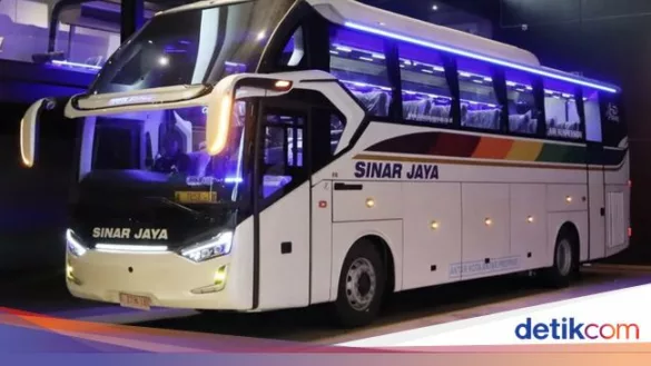 bus baru po sinar jaya 169