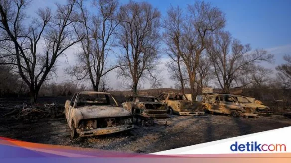 penampakan mobil mobil hangus dalam kebakaran hutan di texas 1 169